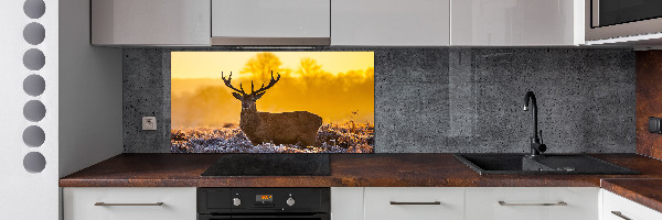 Spatscherm keuken Herten zonsopgang
