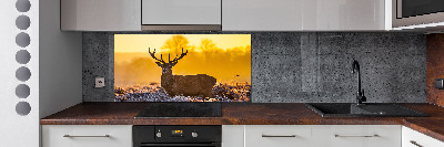Spatscherm keuken Herten zonsopgang