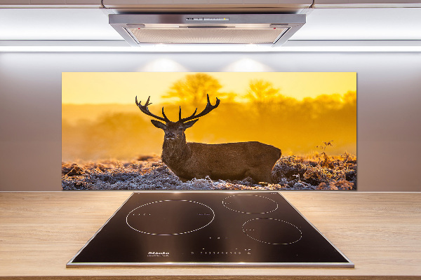 Spatscherm keuken Herten zonsopgang