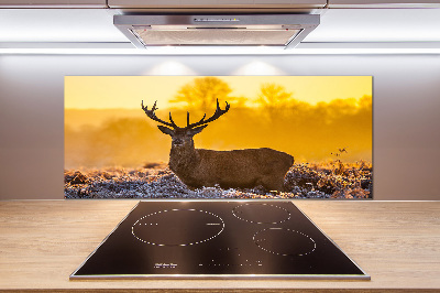 Spatscherm keuken Herten zonsopgang