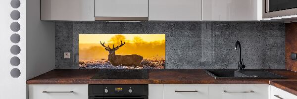 Spatscherm keuken Herten zonsopgang