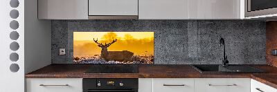 Spatscherm keuken Herten zonsopgang