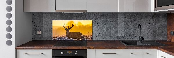 Spatscherm keuken Herten zonsopgang