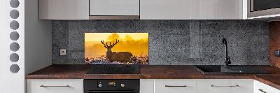 Spatscherm keuken Herten zonsopgang