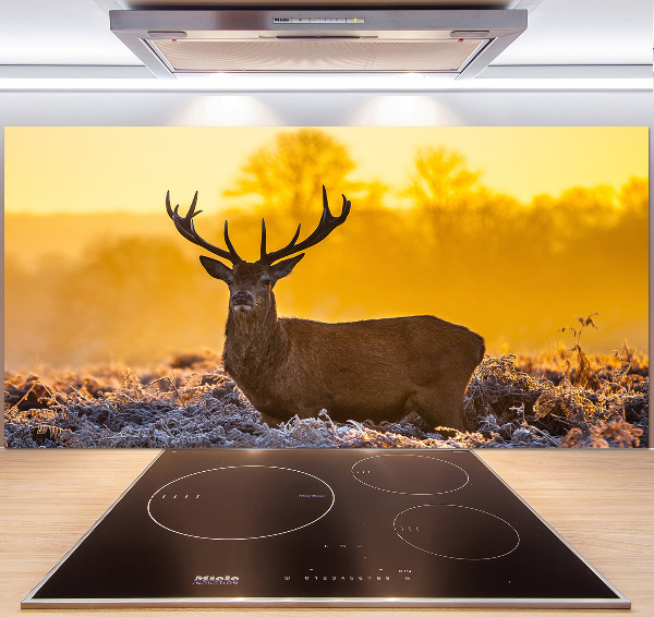 Spatscherm keuken Herten zonsopgang