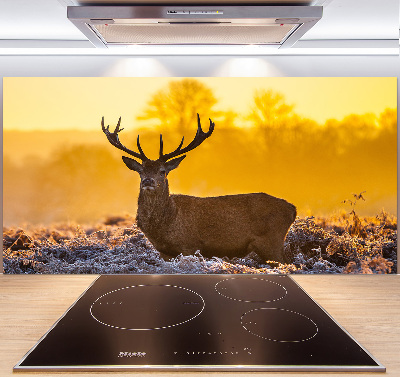 Spatscherm keuken Herten zonsopgang
