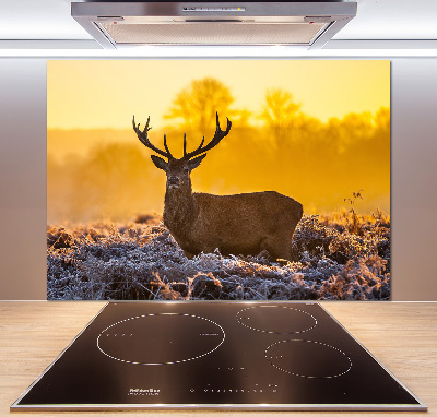 Spatscherm keuken Herten zonsopgang