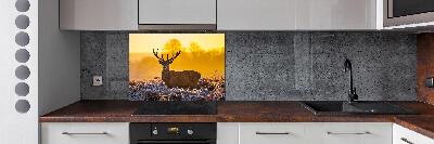 Spatscherm keuken Herten zonsopgang