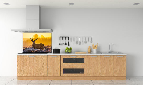 Spatscherm keuken Herten zonsopgang