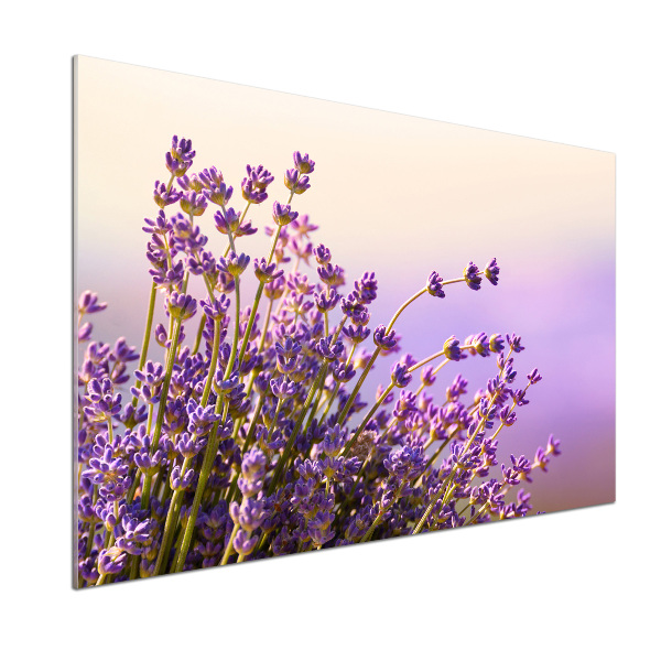 Spatscherm keuken Lavendel