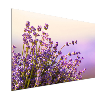 Spatscherm keuken Lavendel
