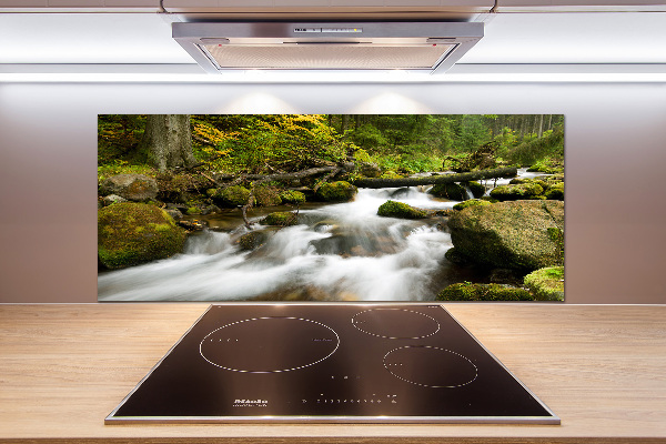 Panel do kuchni Potok Olczyski