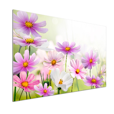 Spatplaat keuken Bloemen in de weide