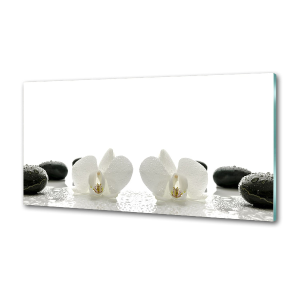 Keuken achterwand Orchidee