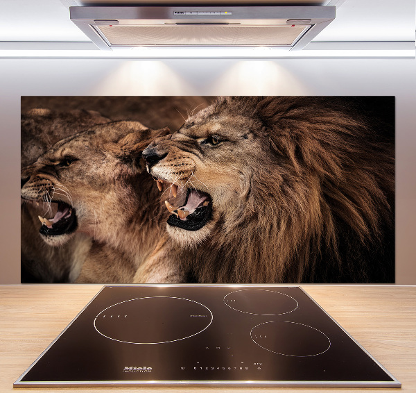 Glazen achterwand keuken Brullende leeuwen