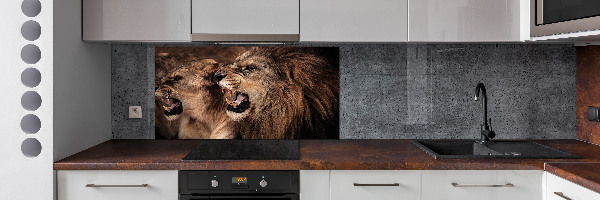 Glazen achterwand keuken Brullende leeuwen
