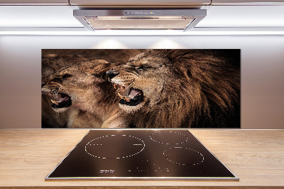 Glazen achterwand keuken Brullende leeuwen