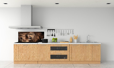 Glazen achterwand keuken Brullende leeuwen