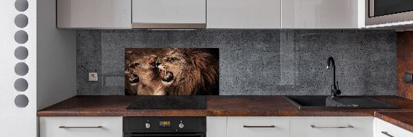 Glazen achterwand keuken Brullende leeuwen