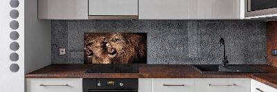 Glazen achterwand keuken Brullende leeuwen