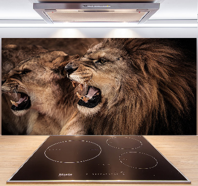 Glazen achterwand keuken Brullende leeuwen