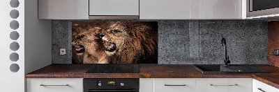 Glazen achterwand keuken Brullende leeuwen