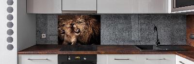 Glazen achterwand keuken Brullende leeuwen