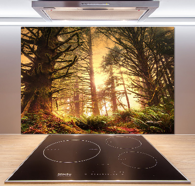 Keuken achterwand regenwoud