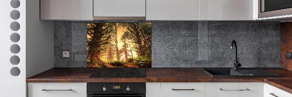 Keuken achterwand regenwoud