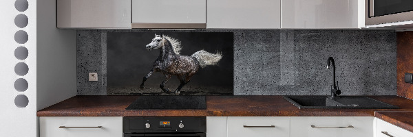 Achterwand keuken Grijze Arabische paard