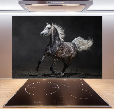 Achterwand keuken Grijze Arabische paard