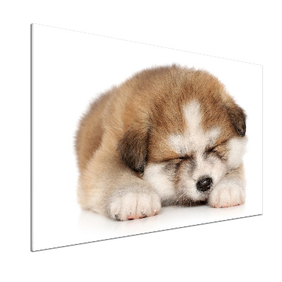 Panel do kuchni Szczeniak Akita