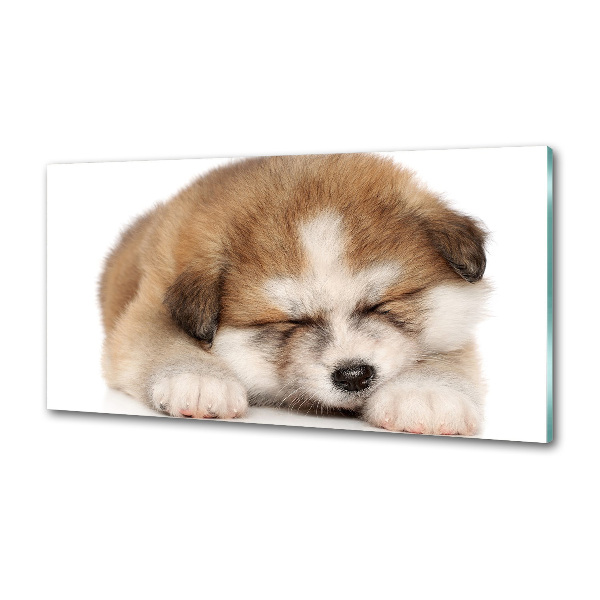 Spatscherm keuken Akita-puppy