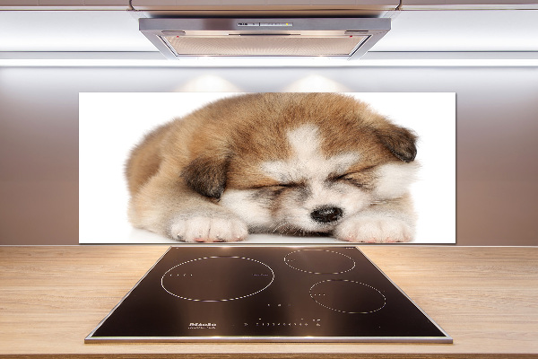 Panel do kuchni Szczeniak Akita