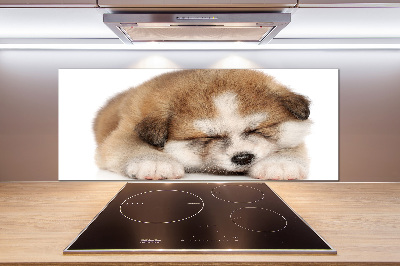 Panel do kuchni Szczeniak Akita