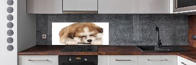 Spatscherm keuken Akita-puppy