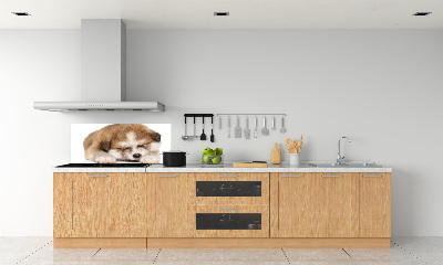 Spatscherm keuken Akita-puppy