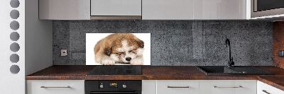 Spatscherm keuken Akita-puppy