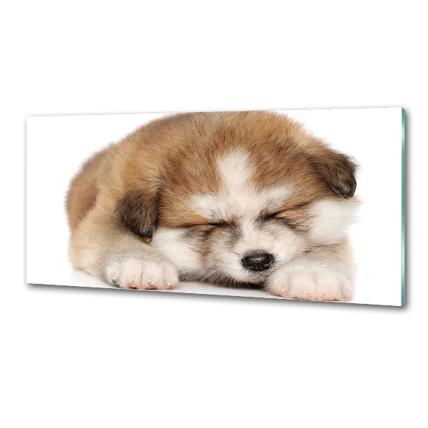 Panel do kuchni Szczeniak Akita