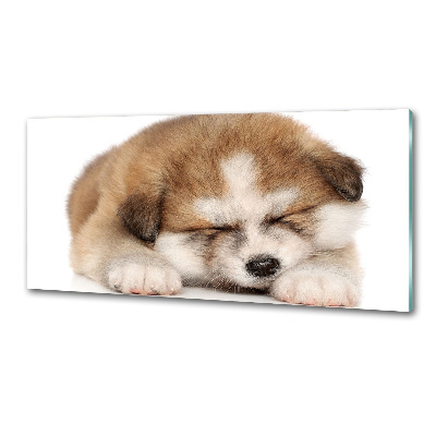 Panel do kuchni Szczeniak Akita