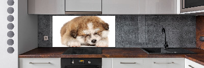 Spatscherm keuken Akita-puppy