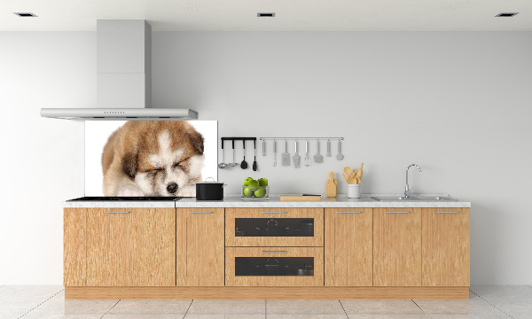 Spatscherm keuken Akita-puppy