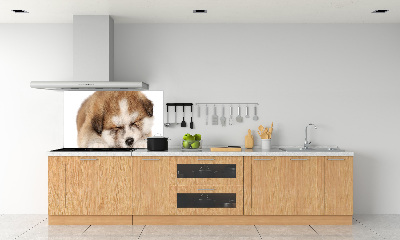 Spatscherm keuken Akita-puppy