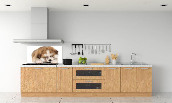 Spatscherm keuken Akita-puppy