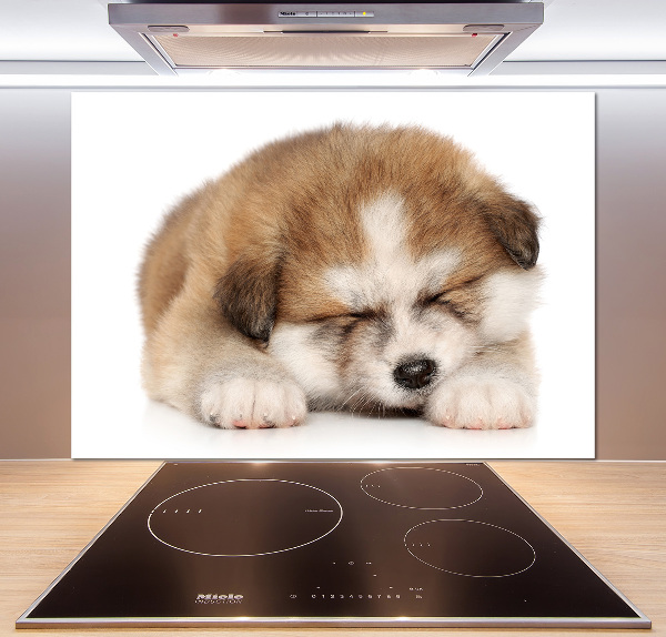 Spatscherm keuken Akita-puppy