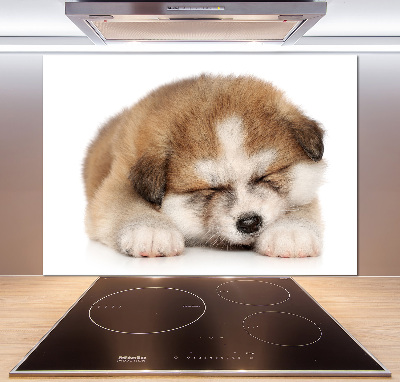 Spatscherm keuken Akita-puppy
