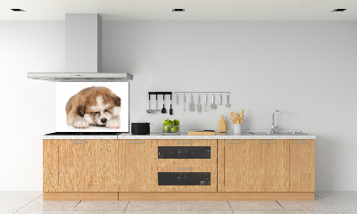 Spatscherm keuken Akita-puppy