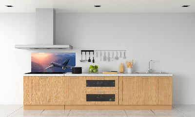 Glazen achterwand keuken Vliegtuig