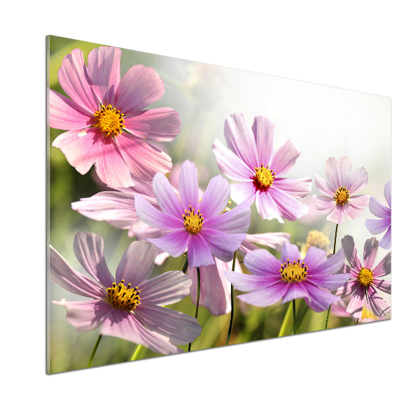 Achterwand keuken Bloemen in de weide