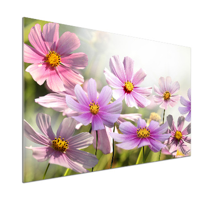 Achterwand keuken Bloemen in de weide